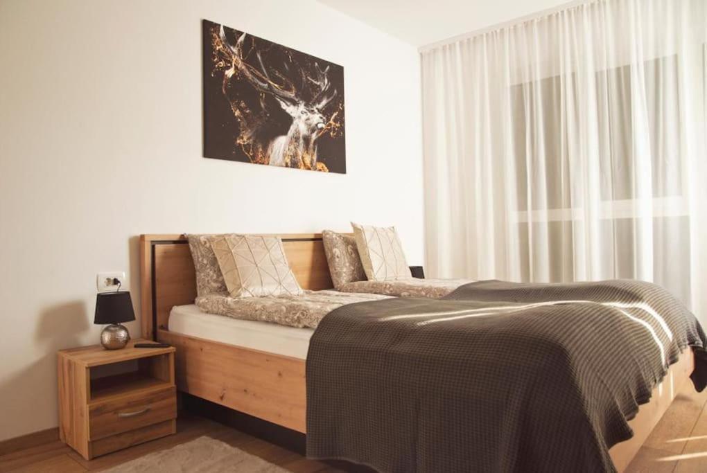 5 Dream Apartment 5 Cu Parcare Privata Oradea Exteriér fotografie